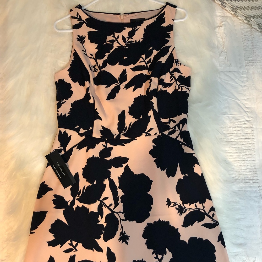 The Limited Fit & Flare  Print Dress NWT